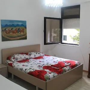 Hostel All Stars In, Tirana