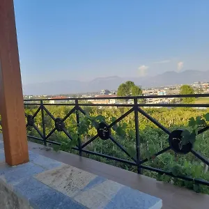 Shehi And Winery Tirana